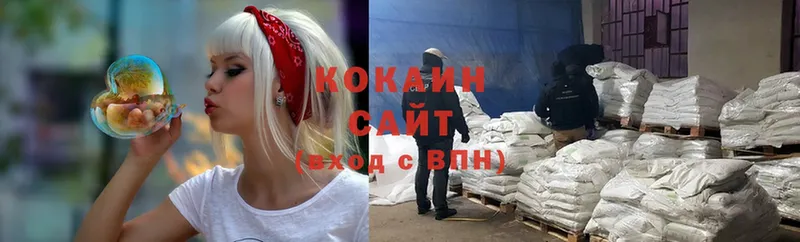 цена   Фёдоровский  Cocaine Эквадор 