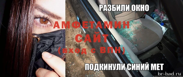 шишки Устюжна