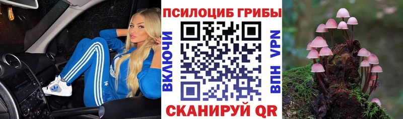 Галлюциногенные грибы Psilocybe  Фёдоровский 